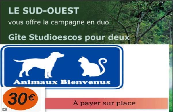 Gite Studioescos El Uno Exteriör bild